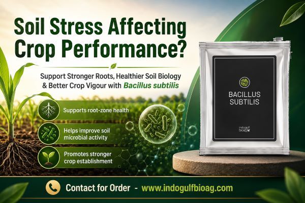 New York, Farm & Garden, USD 50,  Turn Weak Root Zones Into Stronger Growing Environments With Bacillus Subtilis&mdash;Enquire Now