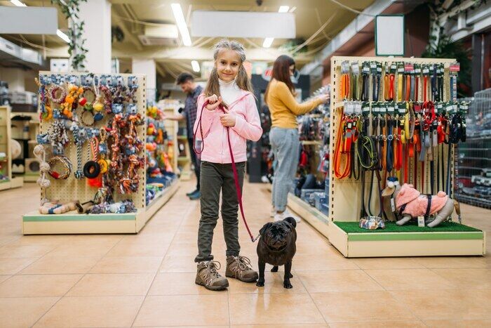 Doha, Pet Sitting, Pet Store Qatar | Premium Pet Supplies & Accessories By Royal Pet