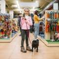 Pet Store Qatar | Premium Pet Supplies & Accessories By Royal Pet