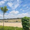 INR 35000,  289 Sq. Yard,  HMDA & RERA APPROVED Open Plots For Sale @ Adibatla