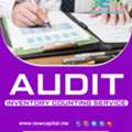 Audit Inventory Counsulting Service