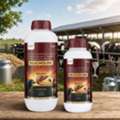 Bilicholine Liquid | Fatty Liver Treatment For Livestock By Ontra Labs
