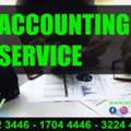 Accounting Data Entry Management And Finance Tax Consultant