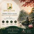 Briston World &ndash; Where Infrastructure Growth Meets Early Pricing