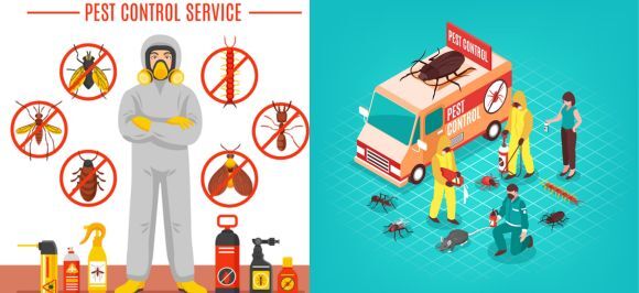 San José, Business, Ant Exterminator In Cupertino
