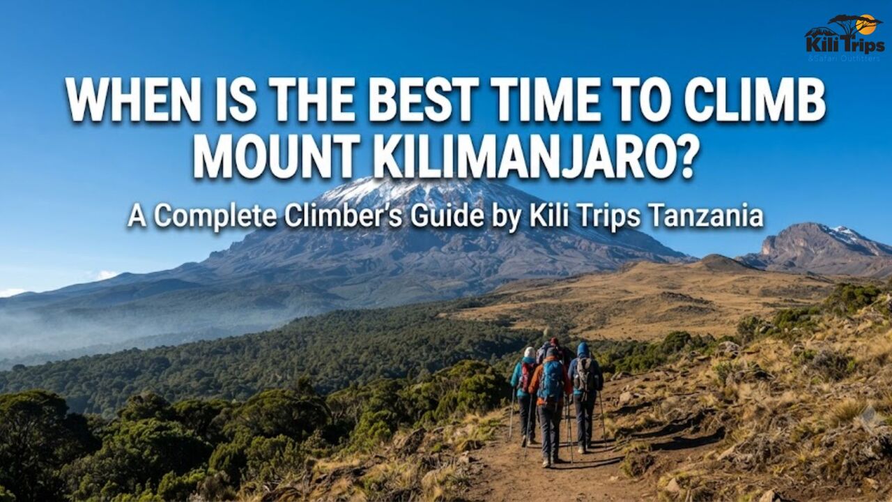 Berlin, Travel, When Is The Best Time To Climb Kilimanjaro? Expert Guided Tours & Packages