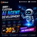 Hurry! Custom AI Agent Development &ndash; Offer Valid This Week Only