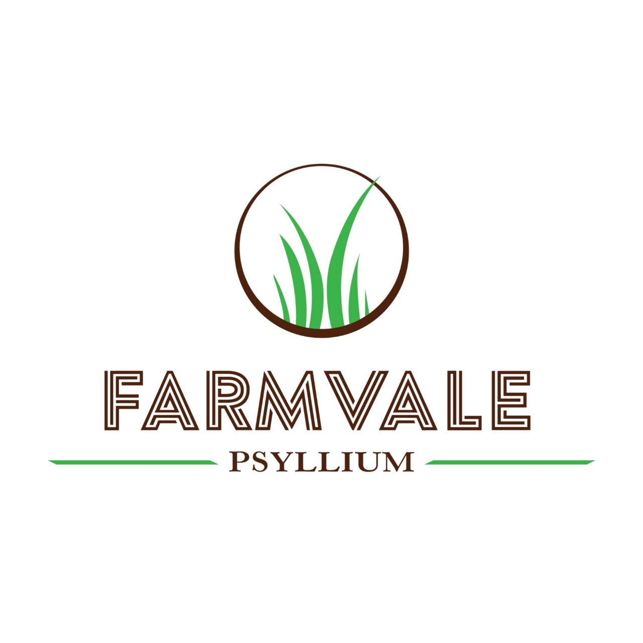 Ahmedabad, Food, INR 1,  Psyllium Seed & Husk Manufacturer, Supplier & Exporter - Farmvale