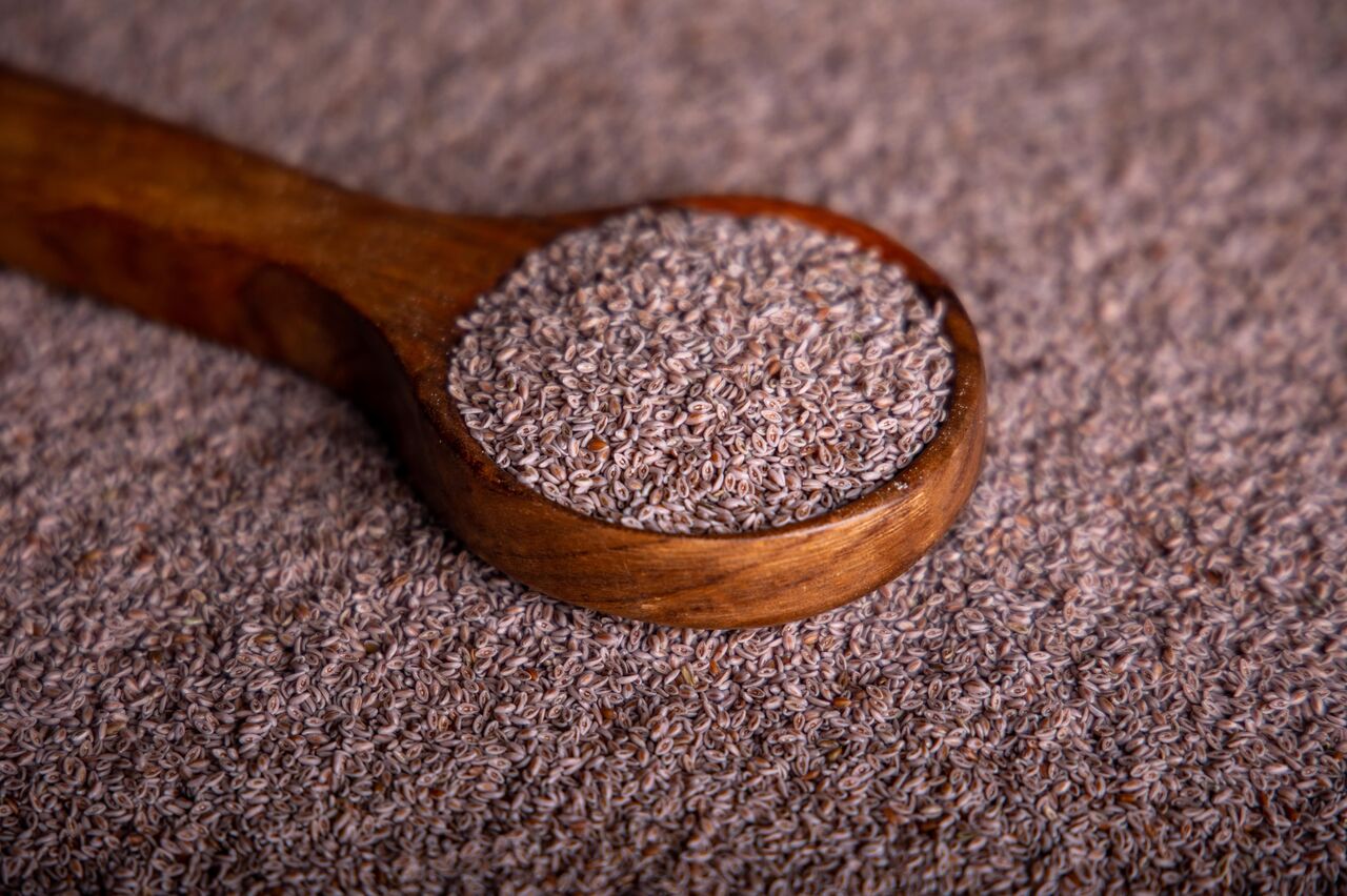 Ahmedabad, Food, INR 1,  Psyllium Seed & Husk Manufacturer, Supplier & Exporter - Farmvale