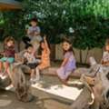 Discover A Preschool Where Curiosity Comes To Life!