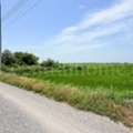 THB 1990000,  6 BR,  1863 Sq. Feet,  Land 4-2-63 Rai, Accessible In Many Ways, Bang Sai Subdistrict, Phra Nakhon Si Ayutthaya.