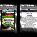 Salad Variety Seeds | Carrot, Lettuce & Cucumber Seeds
