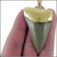 New York, Jewelry, Best Shark Tooth Necklace For Men And Women