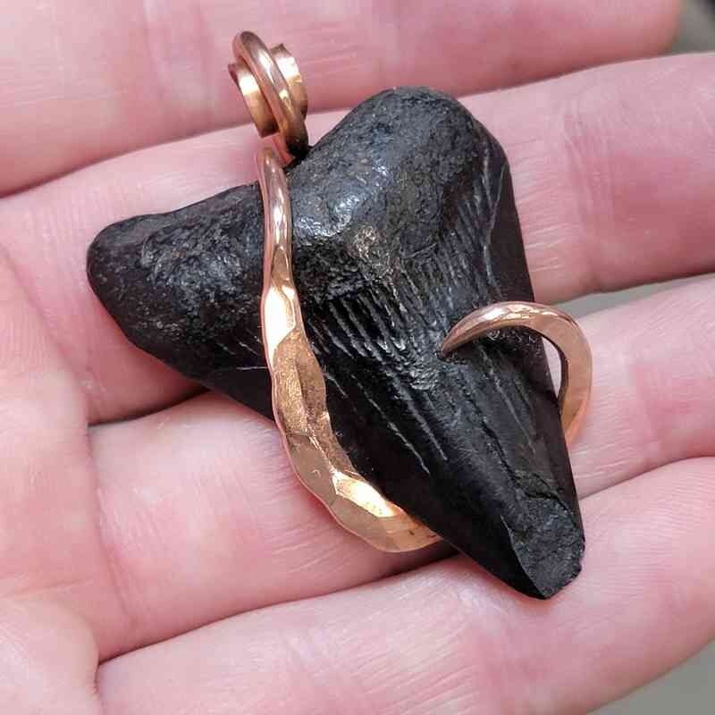 New York, Jewelry, Buy Great White Shark Teeth For Educational Displays