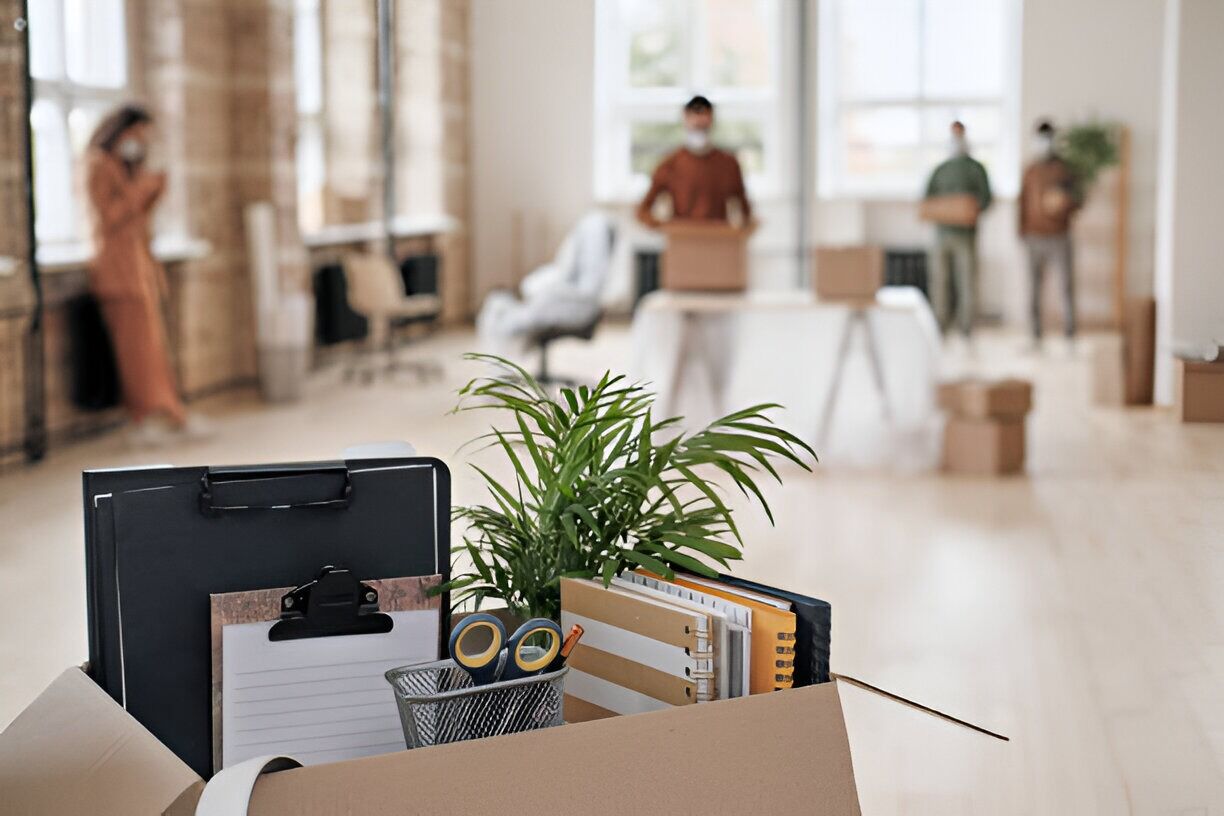 Sydney, Legal, Removalist Auction