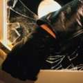 Locksmith Adelaide Northern Suburbs