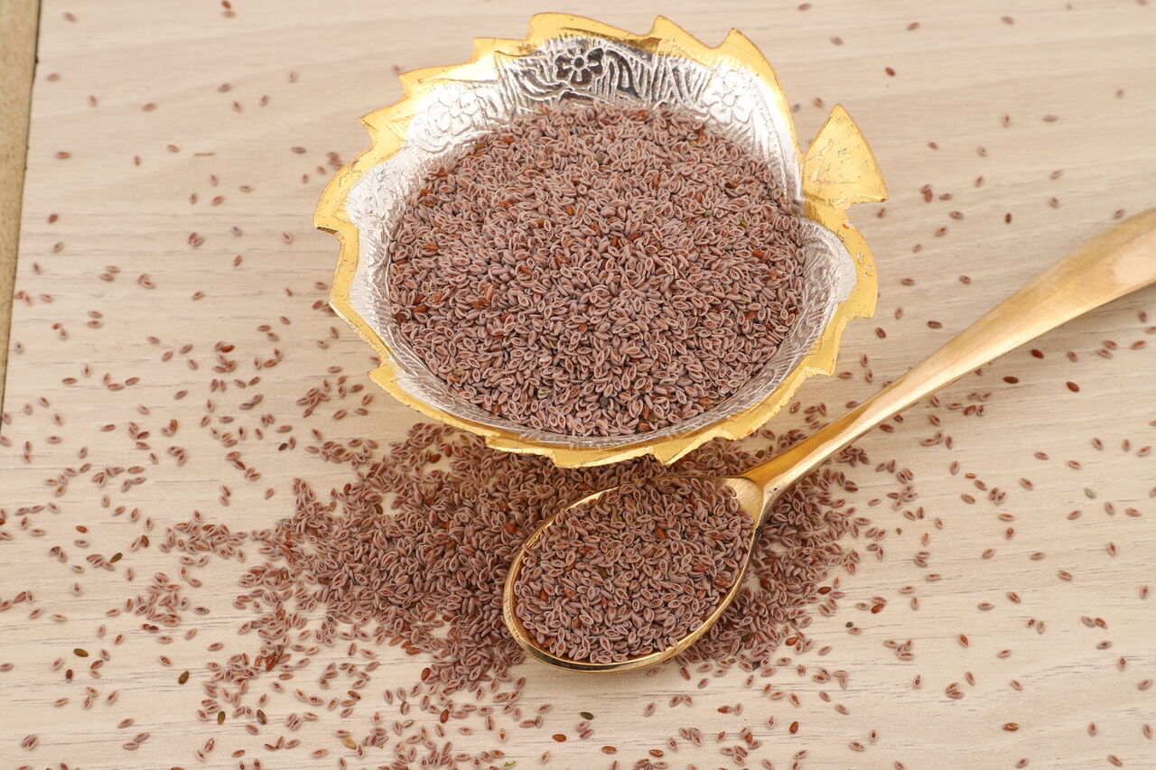 Mumbai, Food & Drink, Gayatri Psyllium Industries | Leading Psyllium Husk Manufacturer, Exporter & Supplier Indi