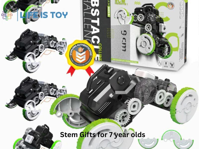New York, Business, Affordable Stem Gifts For 7 Year Olds With Educational Value