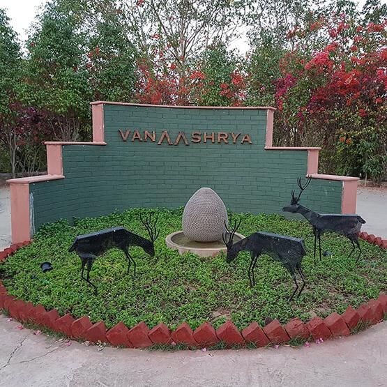 New Delhi, Travel, Resorts In Sariska For Peaceful Holidays And Nature Lovers