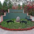 Resorts In Sariska For Peaceful Holidays And Nature Lovers