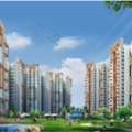 View 2BHK Apartment In Amrapali Spring Meadows In Noida Extension Starting From ₹66,00,00