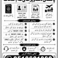 Pakistani Passport & NICOP Renewal Services &ndash; WhatsApp Only