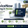 ServiceNow Training In Noida | Live Online Course With Placement Support