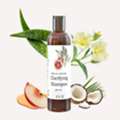 Organics Shampoo And Conditioner: Nourish Your Hair Naturally With PuraVeda Organics
