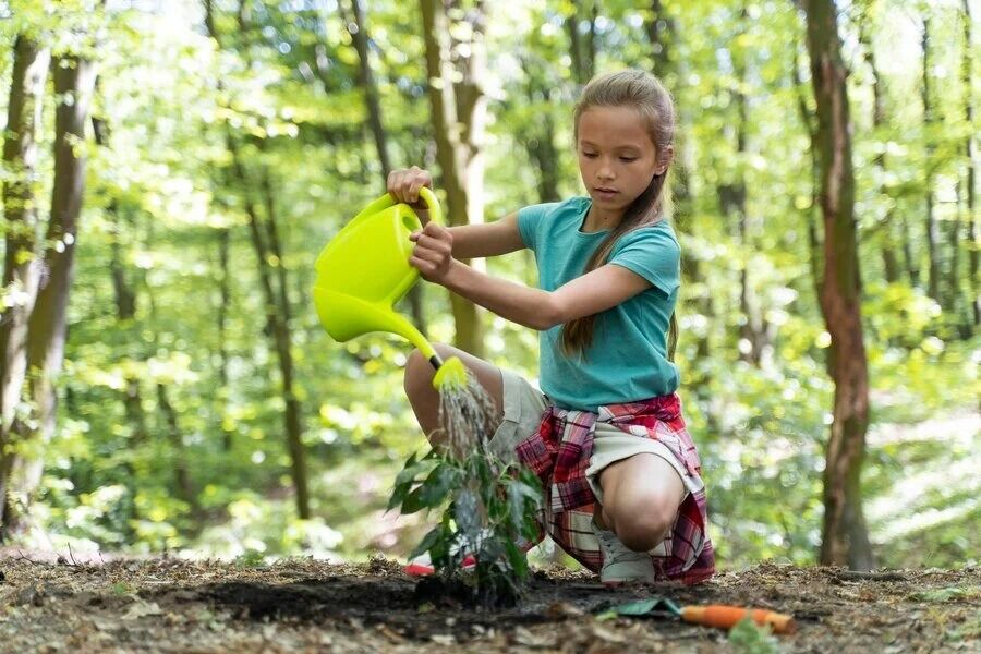 New York, Lessons Offered, Nature Based Preschools That Inspire Curious Young Learners Every Day