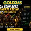Track Your Bets With Horse Racing Live Odds On Gold365