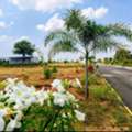 INR 12500,  138 Sq. Yard,  DTCP & RERA APPROVED OPEN PLOTS IN FUTURE CITY @ 9392311420