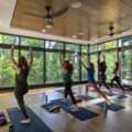 Ayurvedic Consultation NYC | Personalized Holistic Wellness At Sidhayur