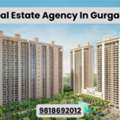 Best Real Estate Agency In Gurugram | Trusted Property Consultants