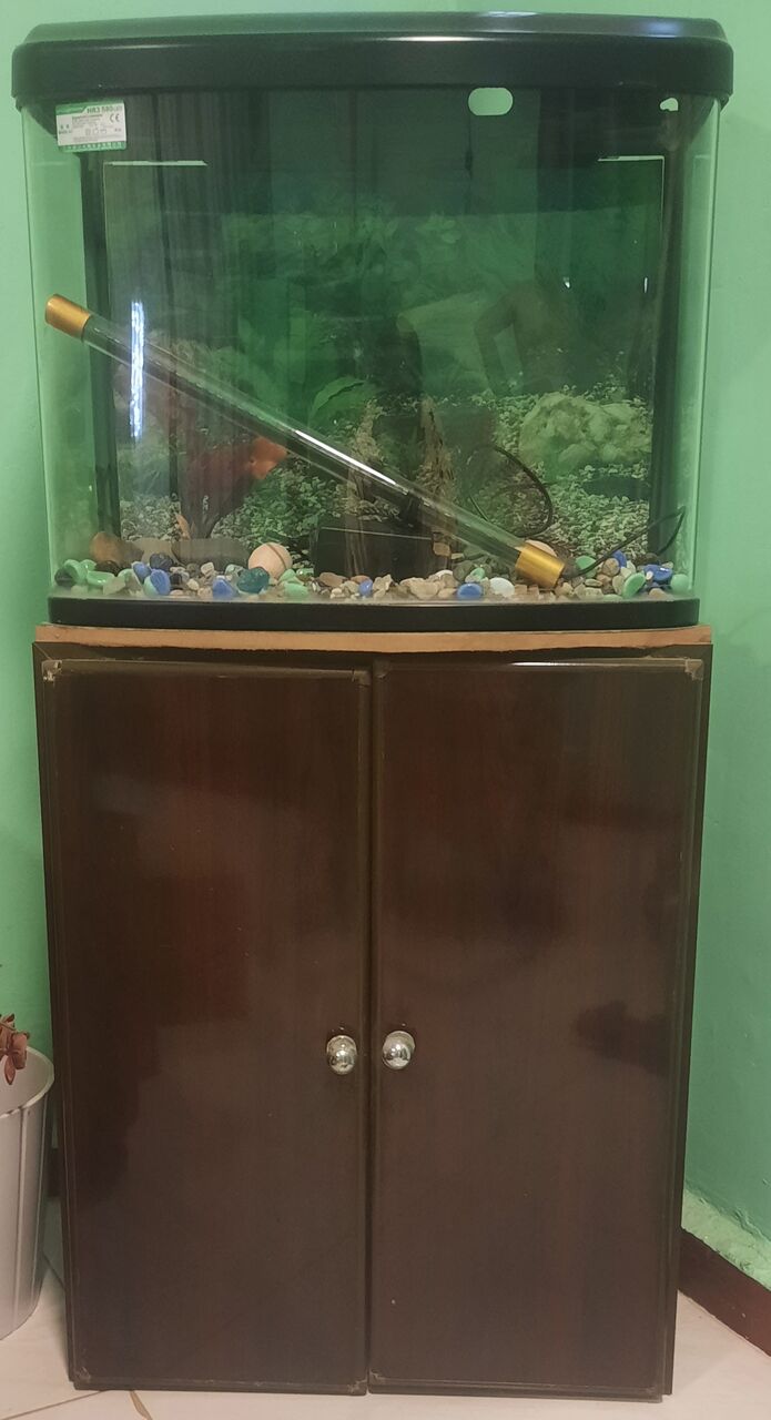 Dammam, Household Items, SAR 250300200,  Furniture For Sale