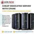 Cheap Dedicated Server With CPanel | Affordable CPanel License