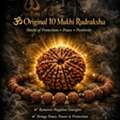 Genuine Rudraksha Shop In Kolkata