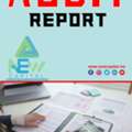 AUDIT