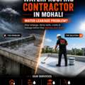 Waterproofing Contractor Mohali &ndash; Rishi Gautam Enterprises