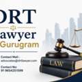 Why Should You Hire A DRT Lawyer In Gurugram Today?