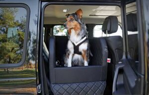 Berlin, Pet Sitting, Hundebetten F&uuml;rs Auto F&uuml;r Bequeme Und Sichere Autofahrten