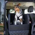Hundebetten F&uuml;rs Auto F&uuml;r Bequeme Und Sichere Autofahrten
