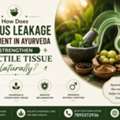How Does Venous Leakage Treatment In Ayurveda Strengthen Erectile Tissue Naturally?