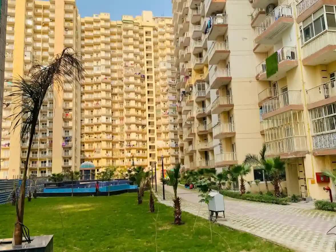 Greater Noida, Apartments, Flats, Houses & Villas, INR 22000/month,  Furnished,  Looking For A Cheap Apartment For Rent In Noida Extension
