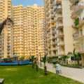 INR 22000/month,  Furnished,  Looking For A Cheap Apartment For Rent In Noida Extension
