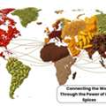 Trusted Organic Spices Exporter In India For Global Bulk Supply