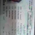 Bus Driver