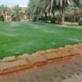 مهندس زراعي ابحث عن عمل
