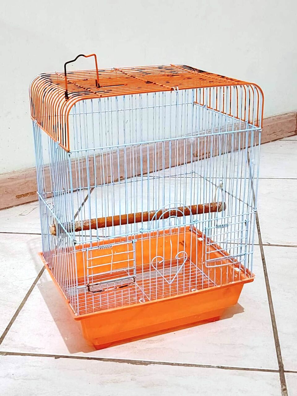 Jeddah, Pet Supplies, SAR 250,  Selling Budgies Urgent