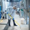 Restaurant Pest Control Orange County | Malang Pest Control
