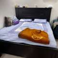 SAR 800,  King Bed And Single Beds